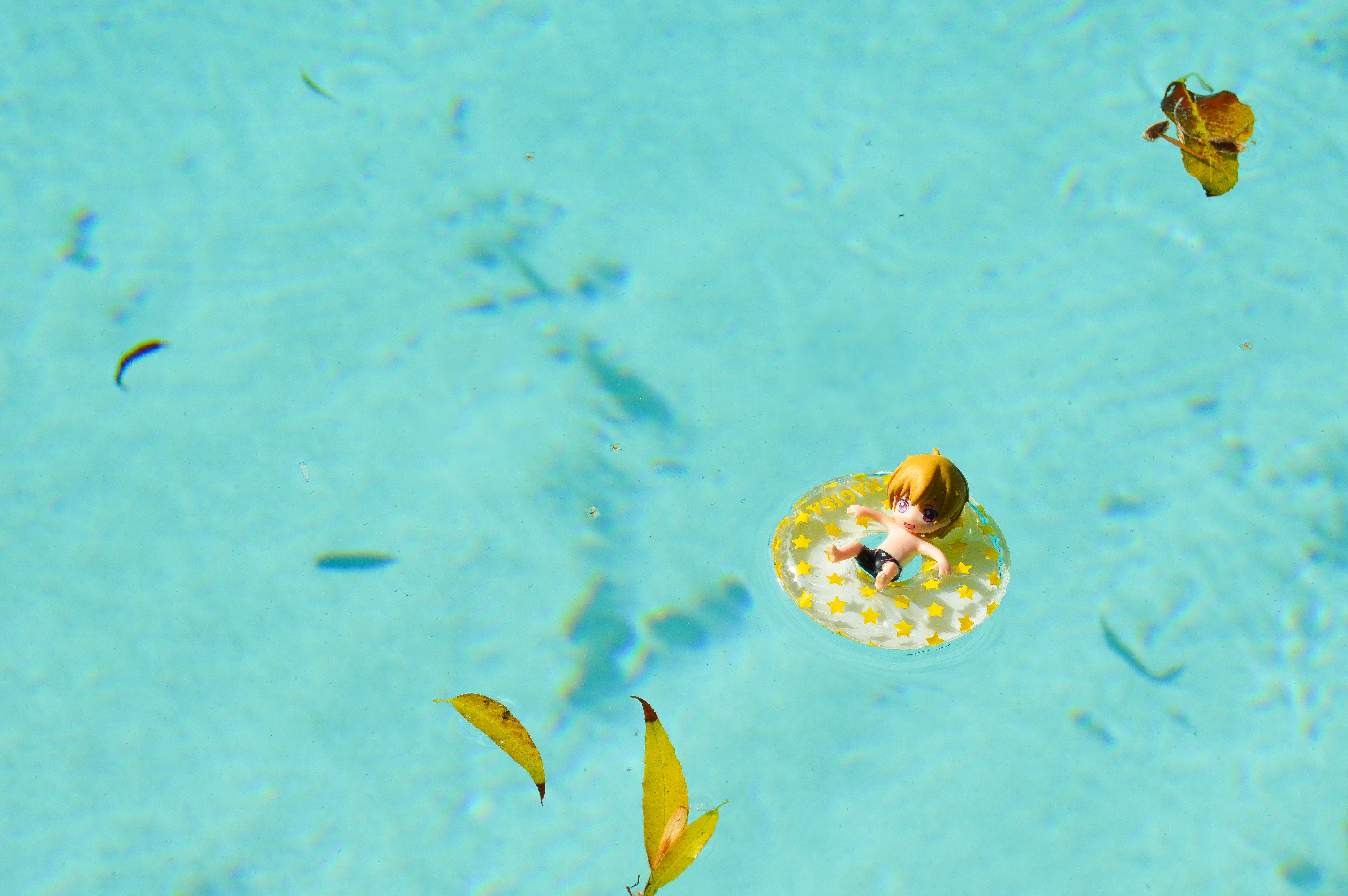 Nagisa from FREE! relaxing in the pool